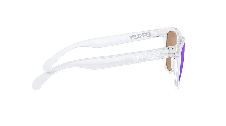 Oakley Frogskins Prizm 9