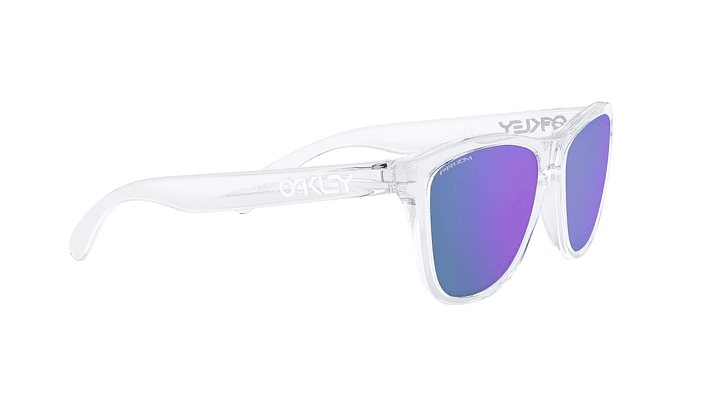 Oakley Frogskins Prizm 10