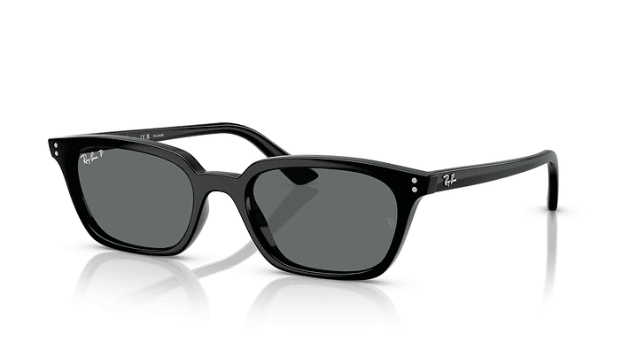 Ray-Ban Zaya RB4456 667781 50 1