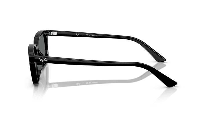 Ray-Ban Zaya RB4456 667781 50 2