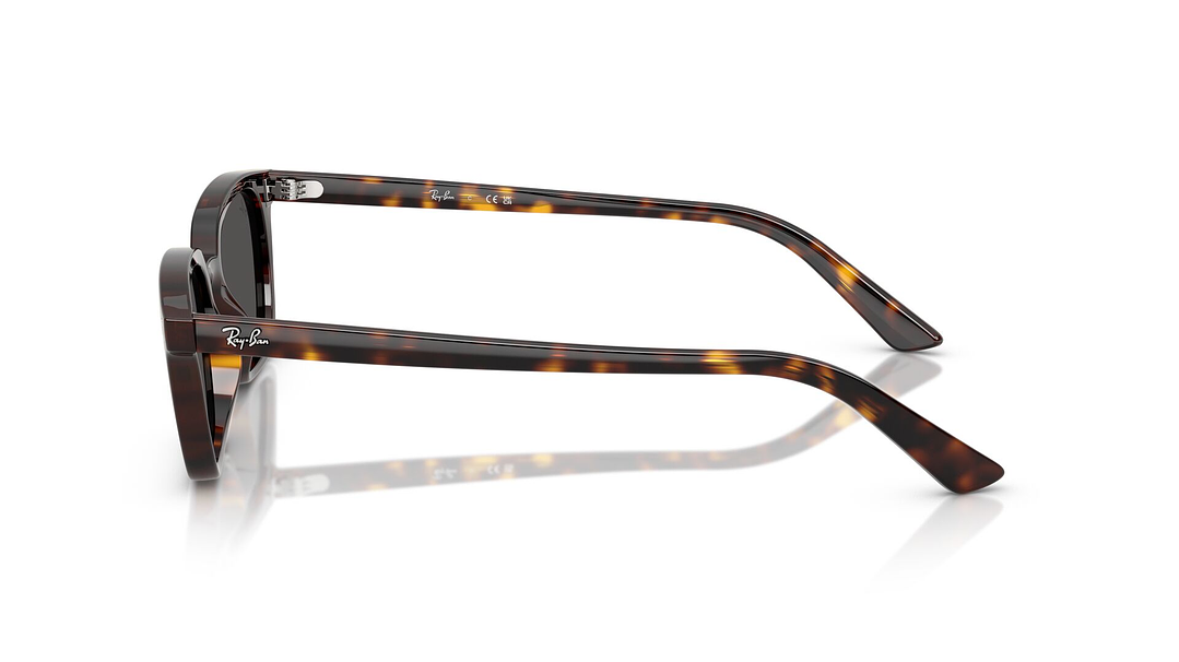 Ray-Ban Zaya RB4456 135987 50 2