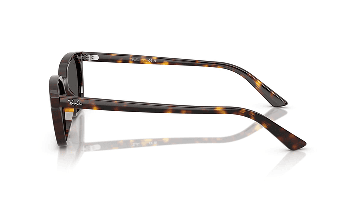 Ray-Ban Zaya RB4456 135987 50 2