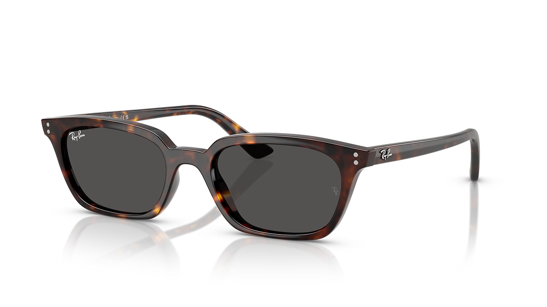 Ray-Ban Zaya RB4456 135987 50 1