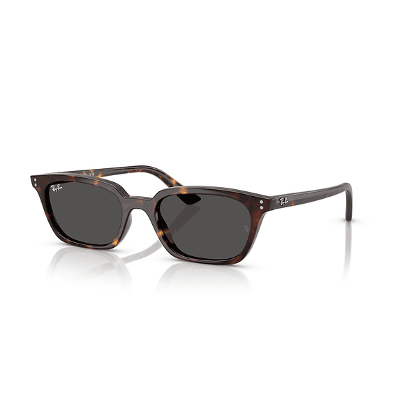 Ray-Ban Zaya RB4456 135987 50
