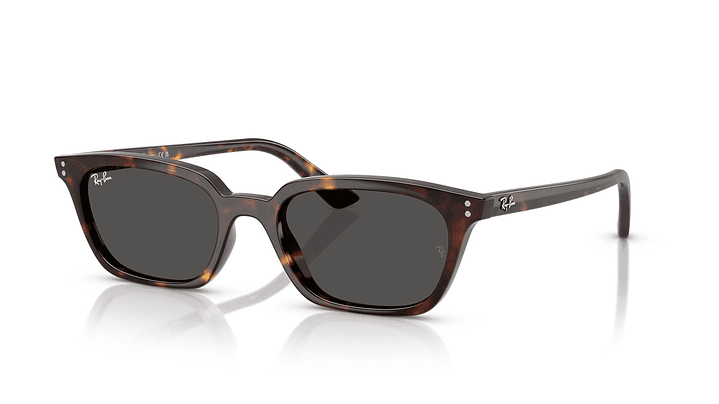 Ray-Ban Zaya RB4456 135987 50 1