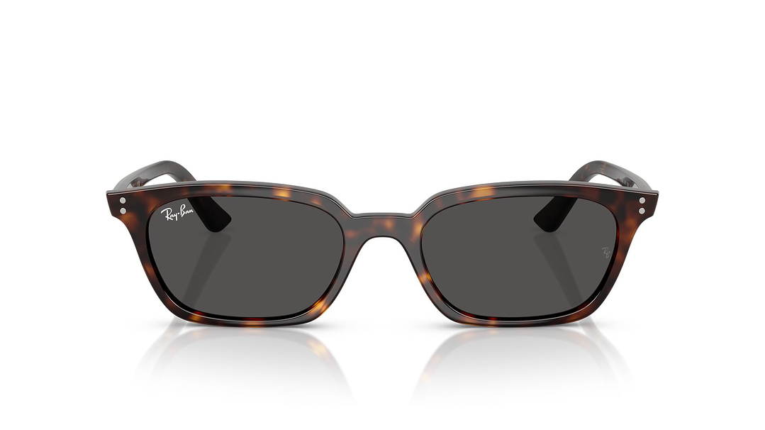 Ray-Ban Zaya RB4456 135987 50 6