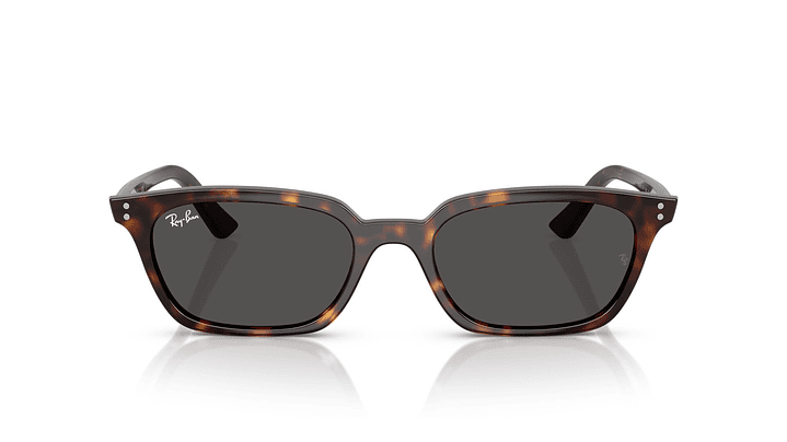 Ray-Ban Zaya RB4456 135987 50 6
