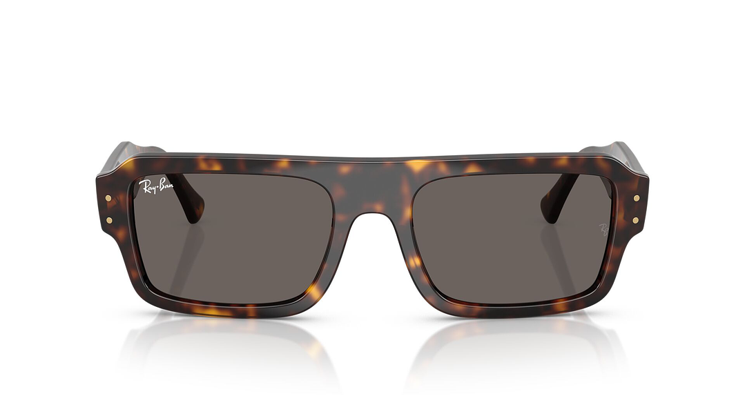 Ray-Ban Flacko RB4454 1359B1 53 6