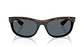 Ray-Ban Balorama RB2489 1441R5 62 - Miniatura 6