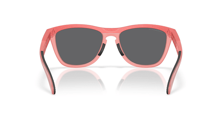 Oakley Frogskins Range OO9284-2455 4