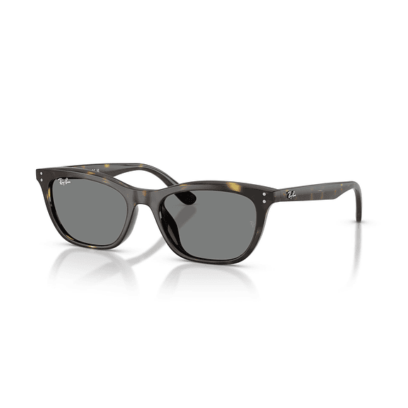 Ray-Ban RB4474D RB4474D 710/87 54