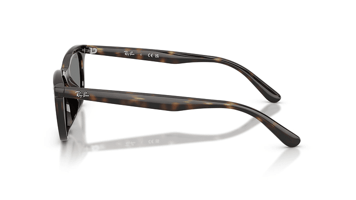 Ray-Ban RB4474D RB4474D 710/87 54 2