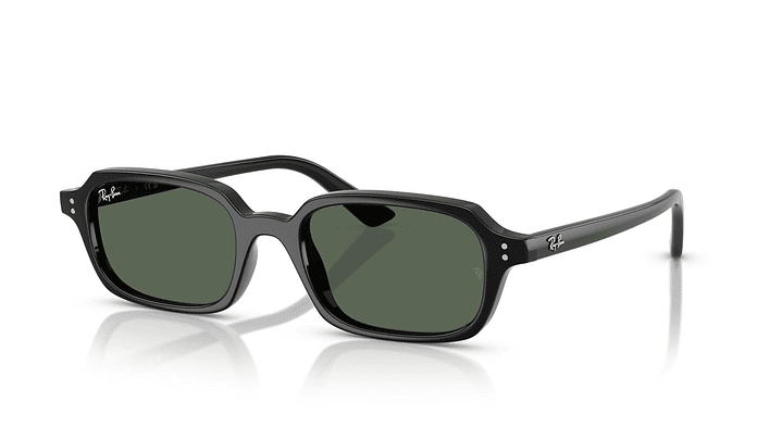 Ray-Ban Zuri RB4455 667771 52 1