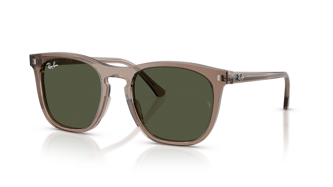 Ray-Ban RB2210 RB2210 845731 53 1