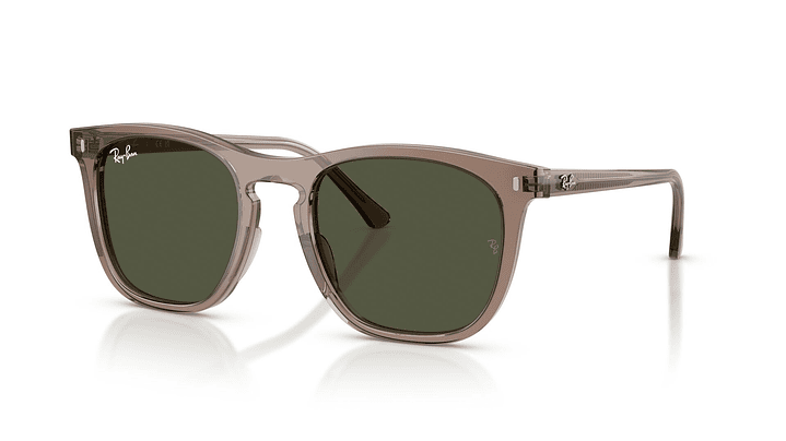 Ray-Ban RB2210 RB2210 845731 53 1