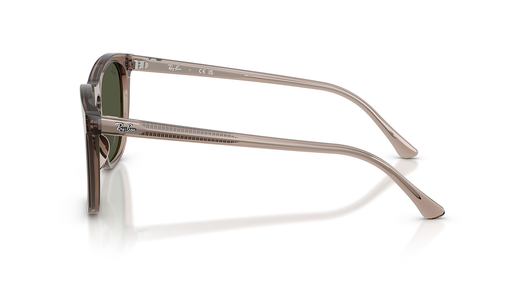 Ray-Ban RB2210 RB2210 845731 53 2