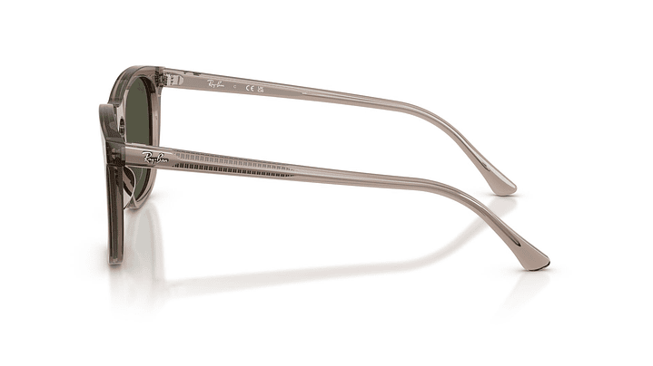 Ray-Ban RB2210 RB2210 845731 53 2