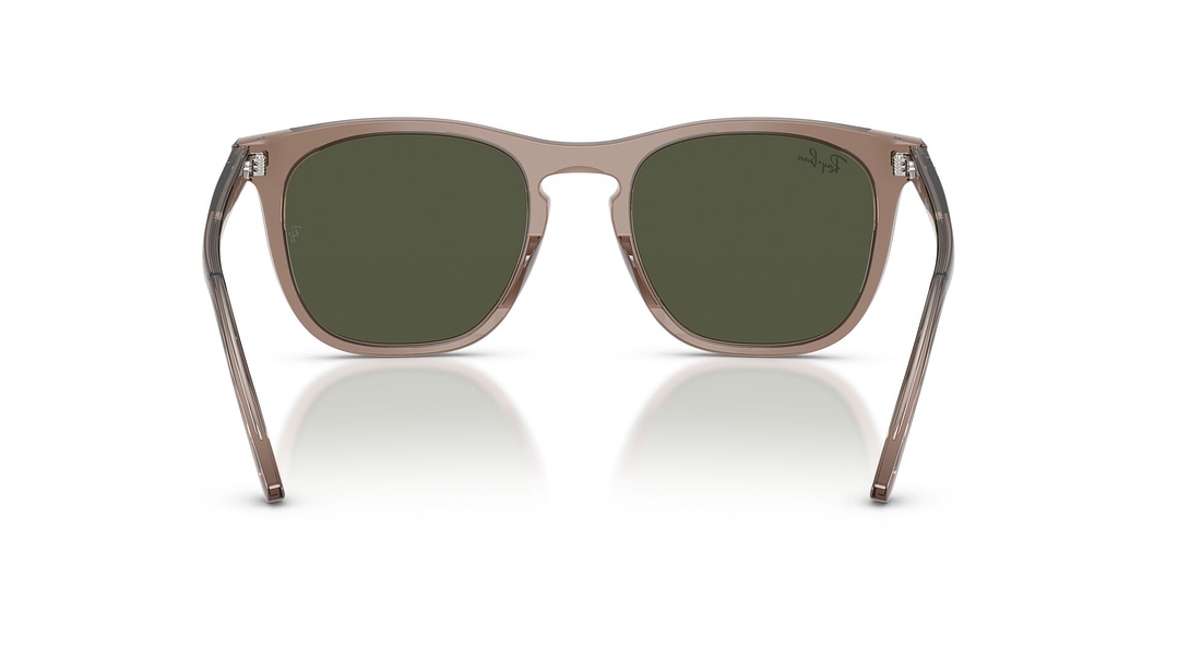 Ray-Ban RB2210 RB2210 845731 53 3