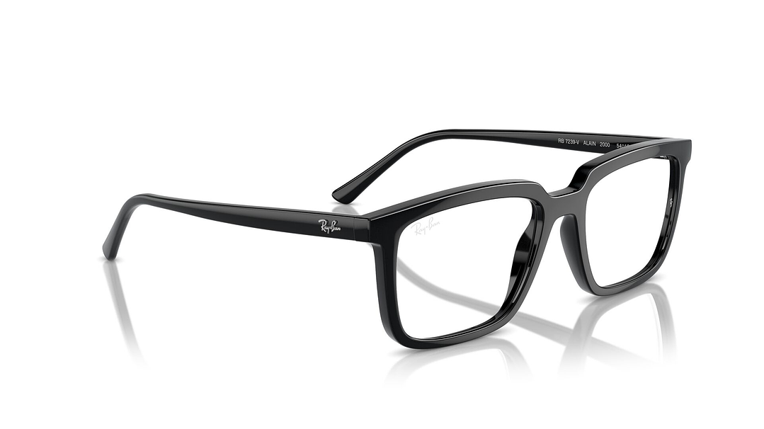 Ray-Ban Alain RX7239 2000 52 4