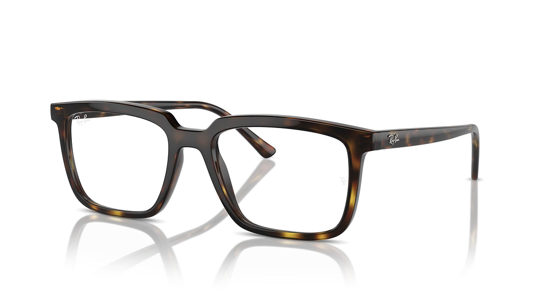 Ray-Ban Alain RX7239 2012 52 1