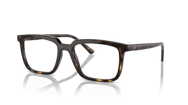 Ray-Ban Alain RX7239 2012 52 1