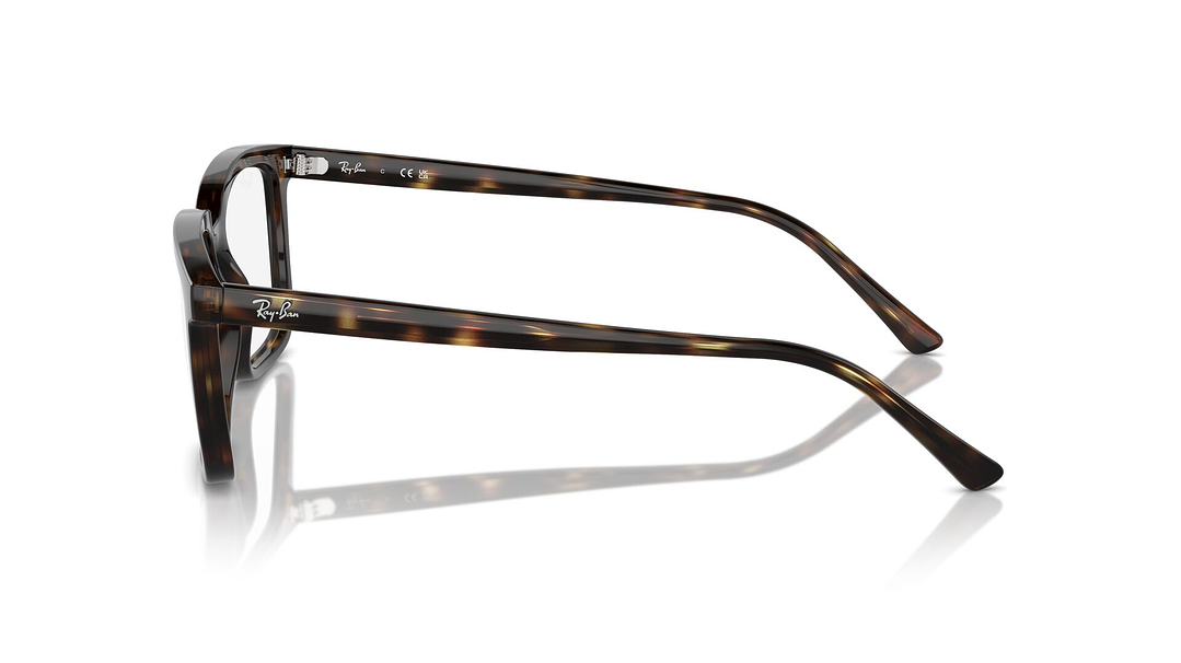 Ray-Ban Alain RX7239 2012 54 2