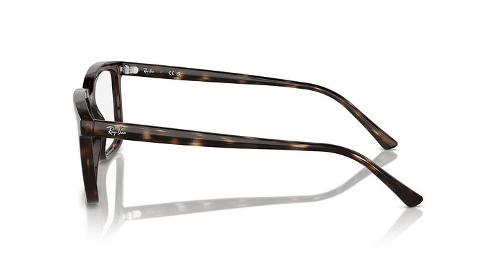 Ray-Ban Alain RX7239 2012 54 2