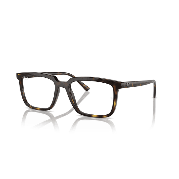 Ray-Ban Alain RX7239 2012 54