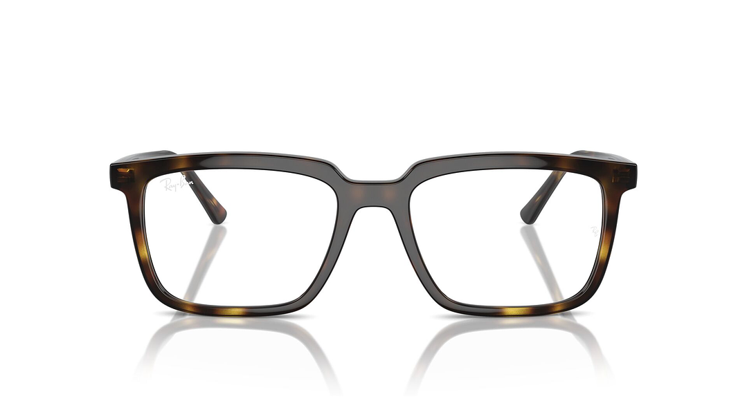 Ray-Ban Alain RX7239 2012 54 6