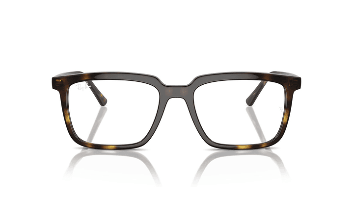 Ray-Ban Alain RX7239 2012 54 6