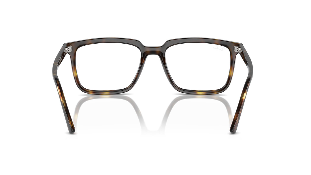 Ray-Ban Alain RX7239 2012 54 3