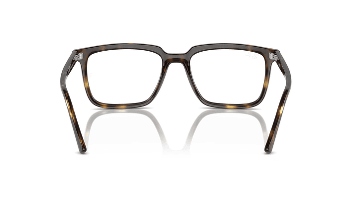 Ray-Ban Alain RX7239 2012 54 3