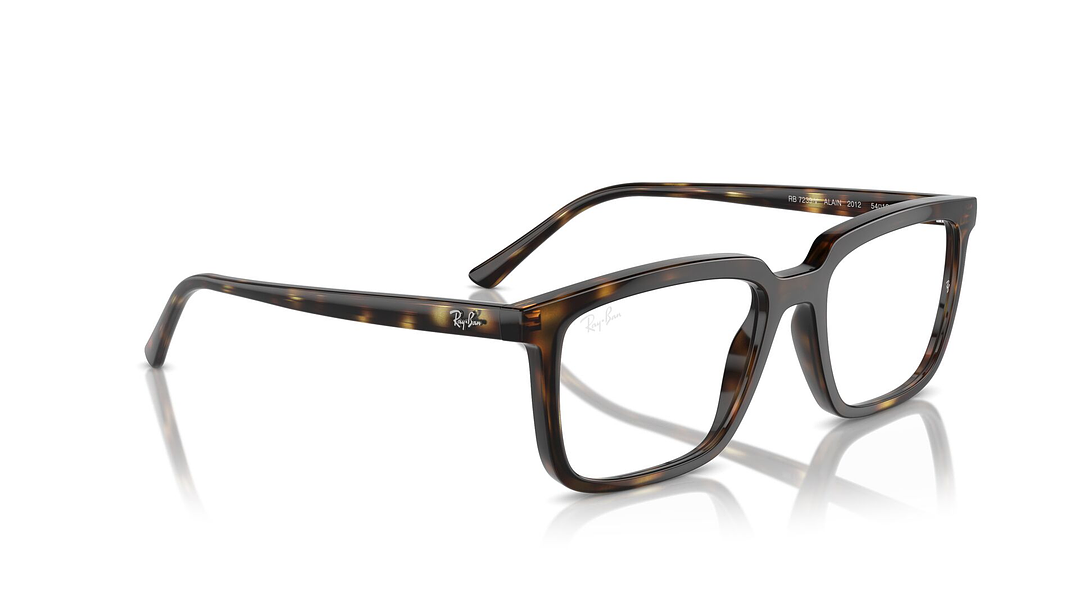 Ray-Ban Alain RX7239 2012 54 4