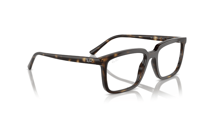 Ray-Ban Alain RX7239 2012 54 4