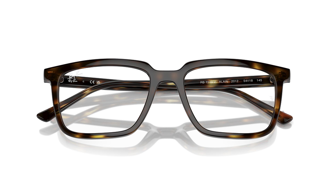 Ray-Ban Alain RX7239 2012 54 5