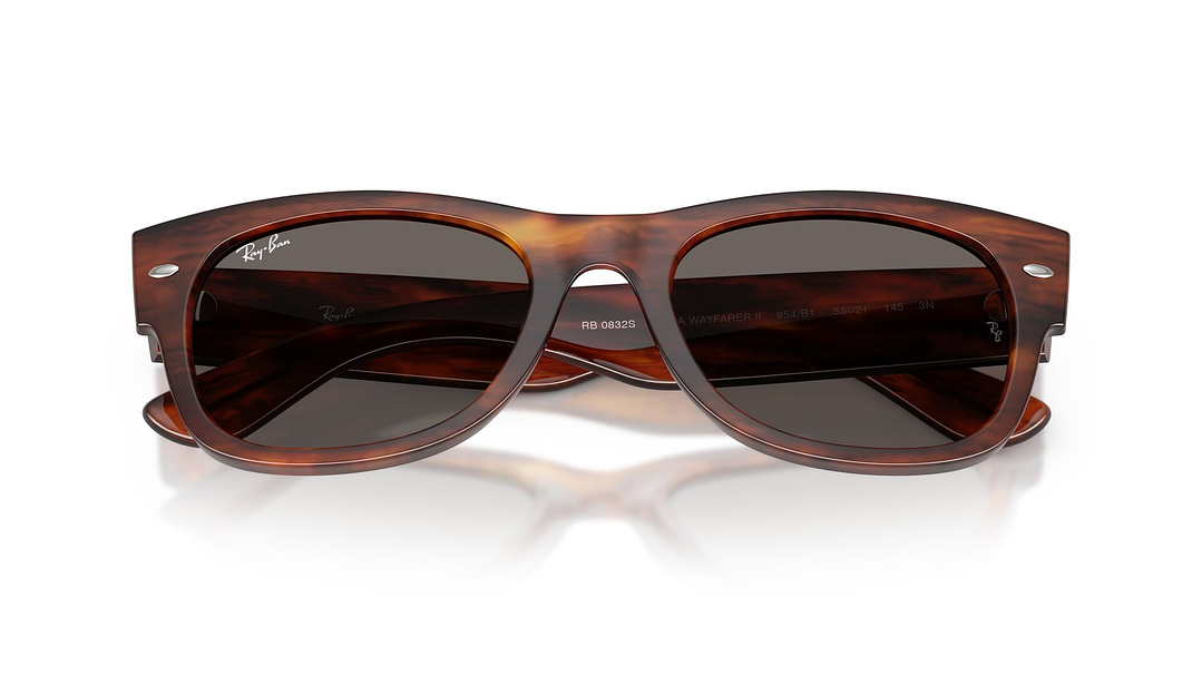 Ray-Ban Mega Wayfarer II RB0832S 954/B1 55 5