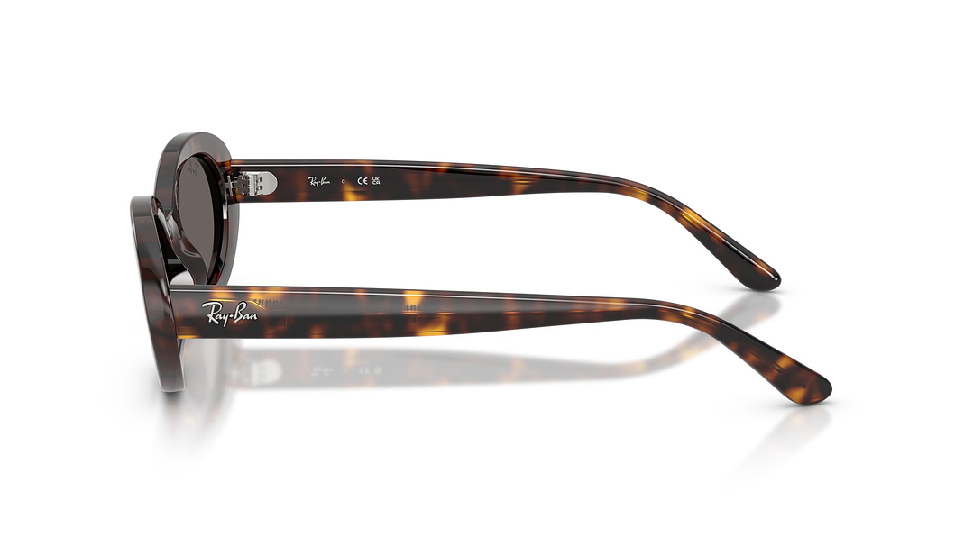 Ray-Ban RB2223 RB2223 902/B1 54 2