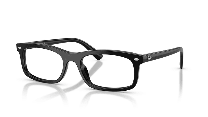 Ray-Ban RX5450 RX5450 2000 54 1