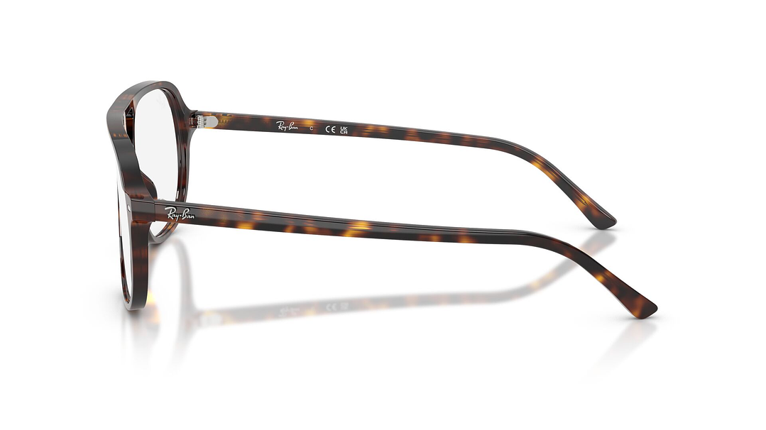 Ray-Ban RX5698 RX5698 2012 56 2