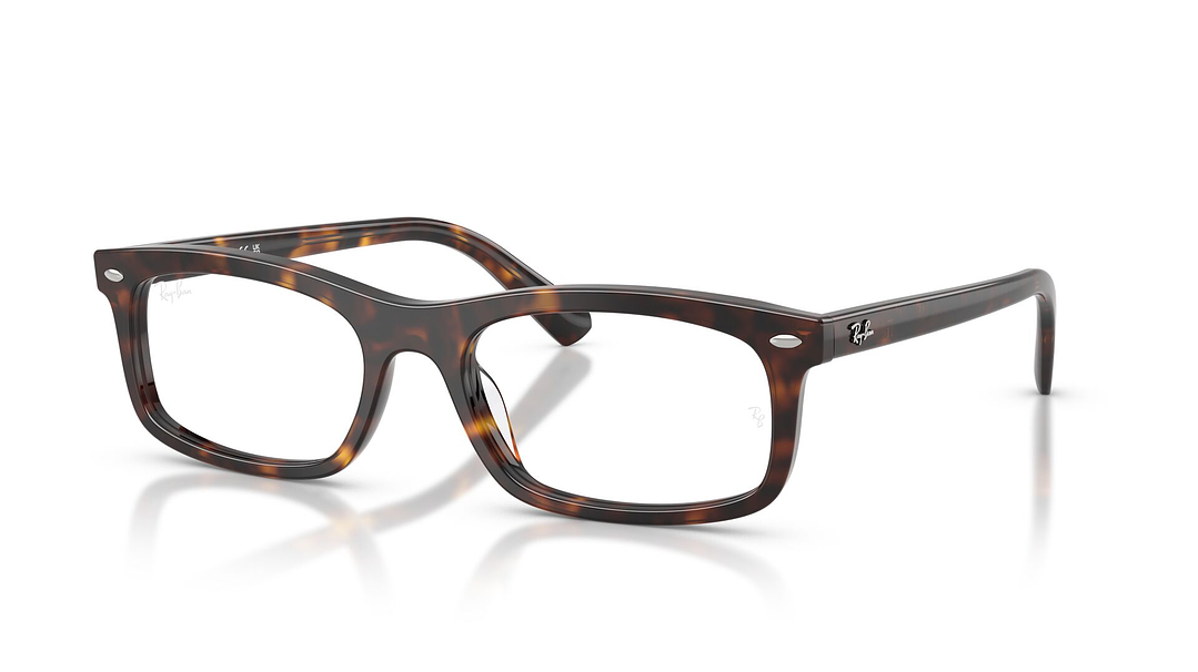 Ray-Ban RX5450 RX5450 2012 54 1