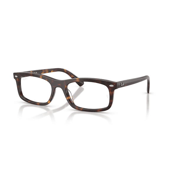 Ray-Ban RX5450 RX5450 2012 54