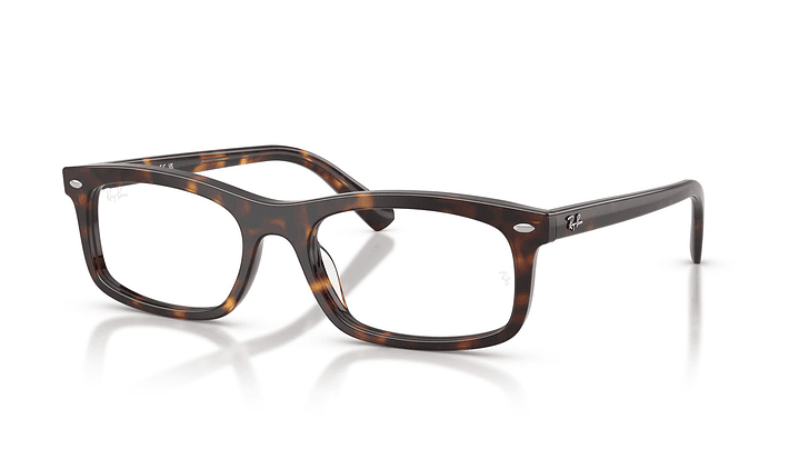 Ray-Ban RX5450 RX5450 2012 54 1