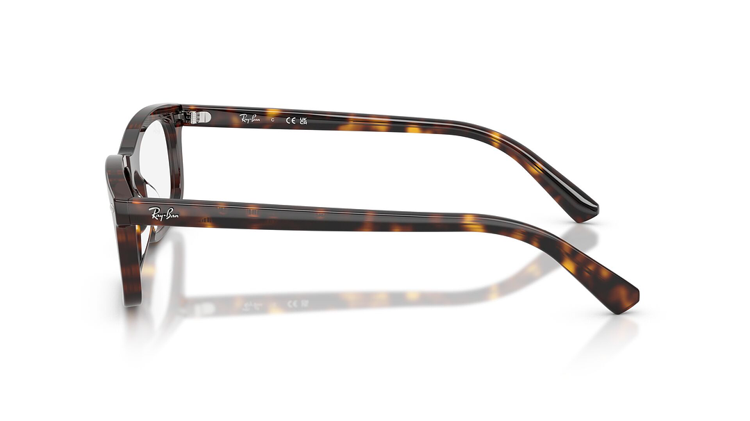 Ray-Ban RX5450 RX5450 2012 54 2