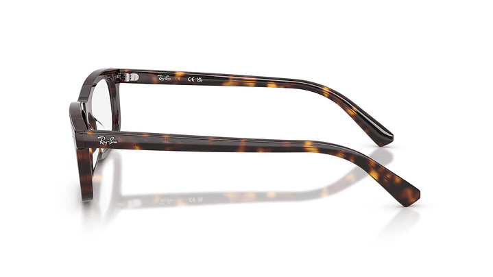 Ray-Ban RX5450 RX5450 2012 54 2