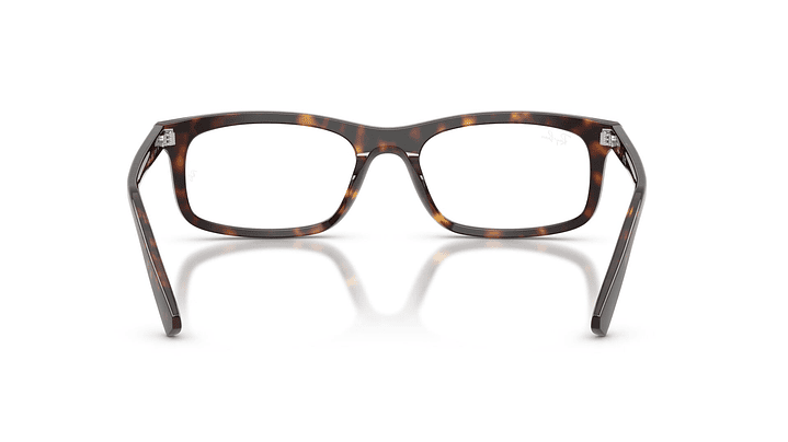 Ray-Ban RX5450 RX5450 2012 54 3