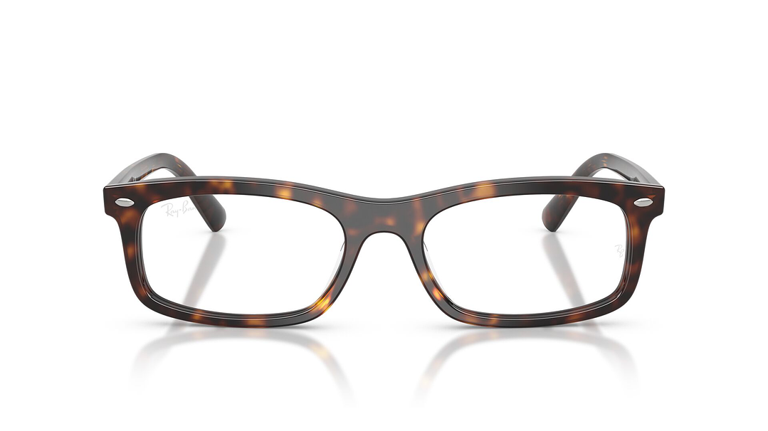 Ray-Ban RX5450 RX5450 2012 54 6