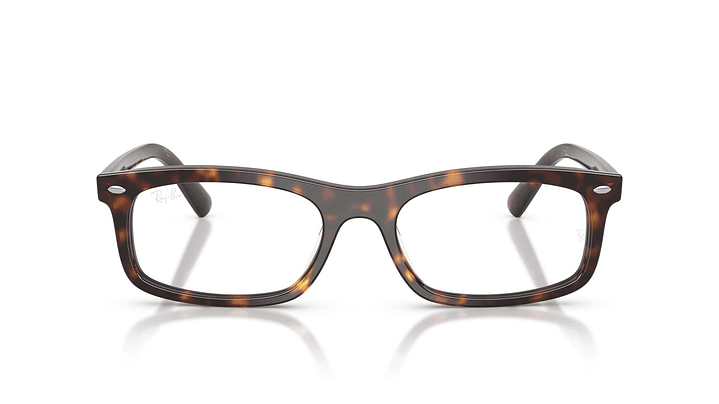 Ray-Ban RX5450 RX5450 2012 54 6