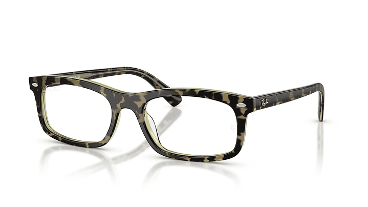 Ray-Ban RX5450 RX5450 8485 54 1