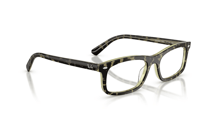 Ray-Ban RX5450 RX5450 8485 54 4