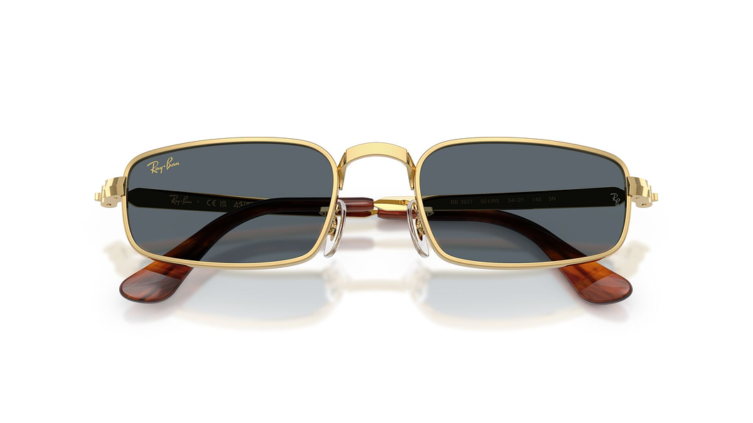 Ray-Ban RB3927 001/R5 54 5